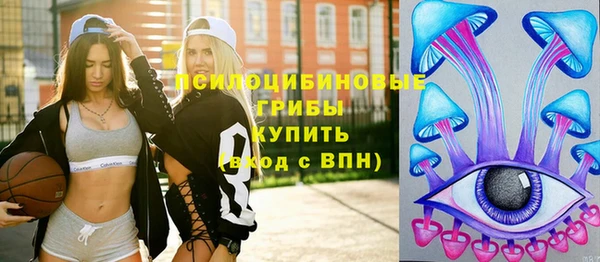 дживик Вязники