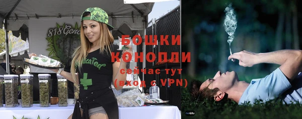 PSILOCYBIN Волоколамск